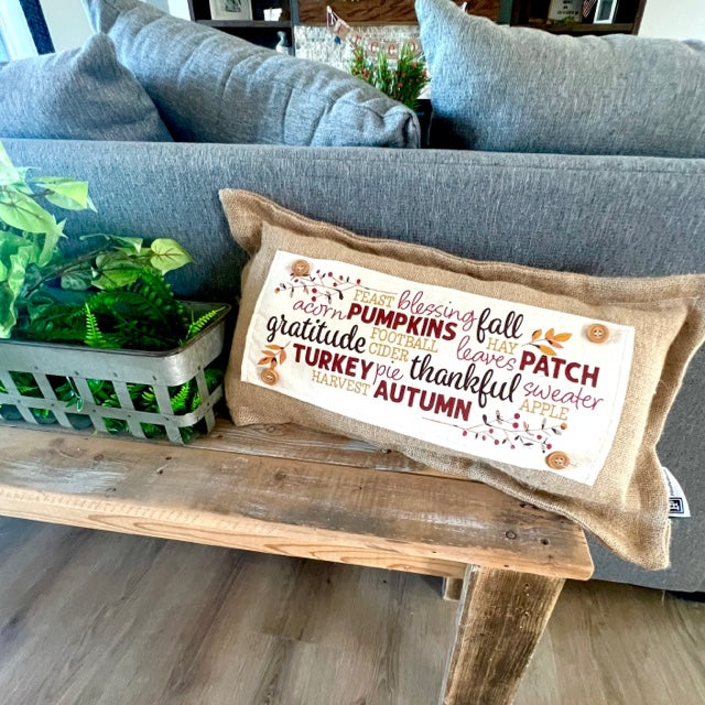 NEW BUNDLE SET: CHARCOAL & CREAM STRIPES Pillow (comes with foam insert and these 3 panels in back pocket); Winter Spring Summer Fall Autumn; TRICK OR TREAT, SUBWAY, MERRY & BRIGHT