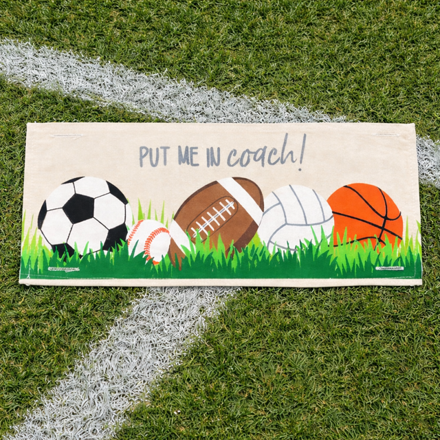 FREEBIE!!  (SEE EMAIL)  ALL SPORTS PANEL ONLY: RECTANGLE All Sports Superbowl Winter Spring Summer Fall Football Basketball, Baseball, Soccer, Volleyball Super Bowl Autumn; SPORTS PANEL
