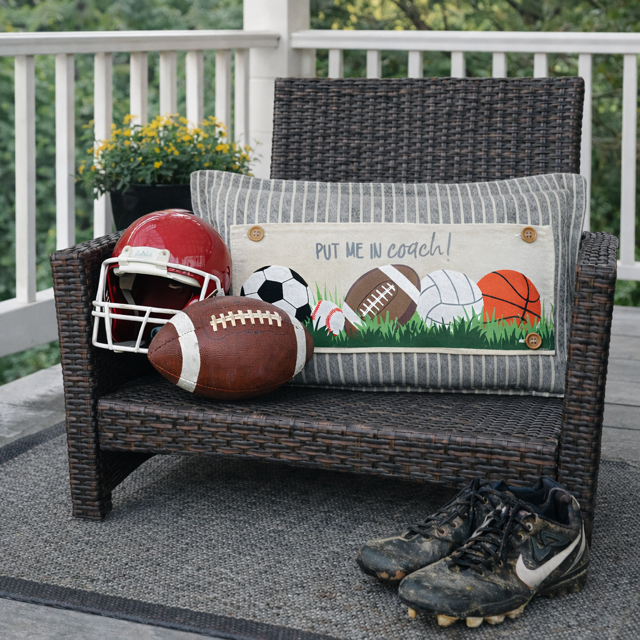 FREEBIE!!  (SEE EMAIL)  ALL SPORTS PANEL ONLY: RECTANGLE All Sports Superbowl Winter Spring Summer Fall Football Basketball, Baseball, Soccer, Volleyball Super Bowl Autumn; SPORTS PANEL